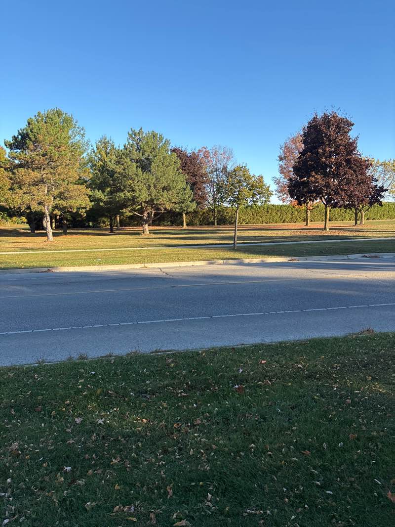 walking near me in Stronach Park in autumn
