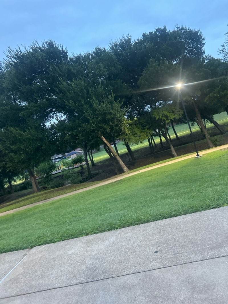 walking near me in Zeigler Park in summer