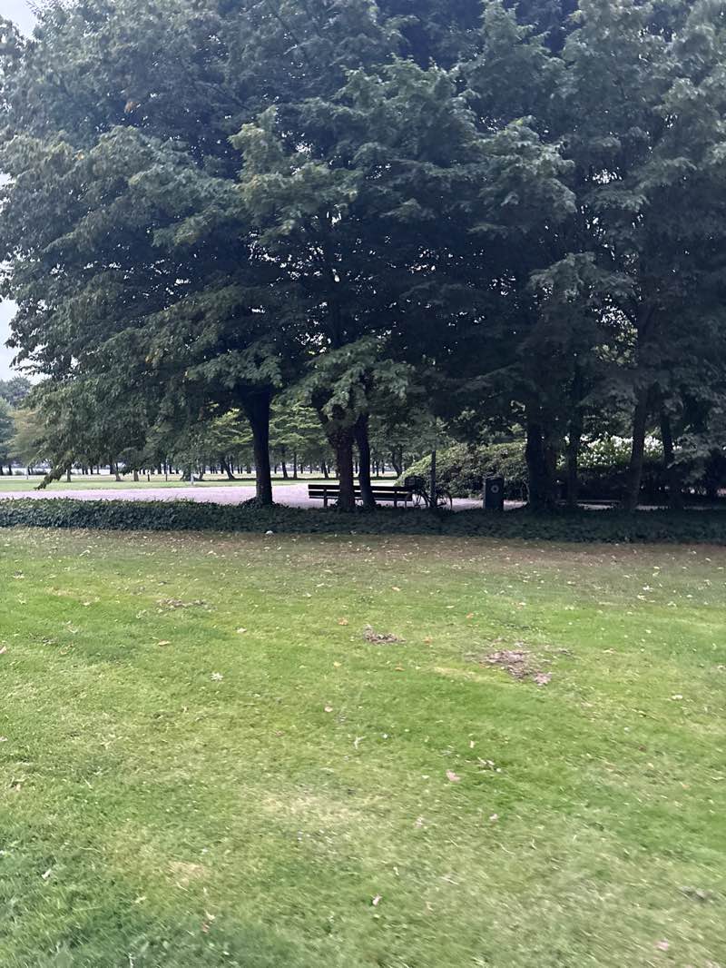 walking near me in De Plantage in autumn