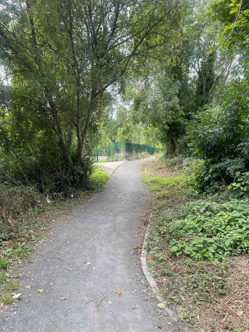 walking near me in Ballywaltrim Park in autumn