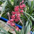 莫凡兰业13211106699