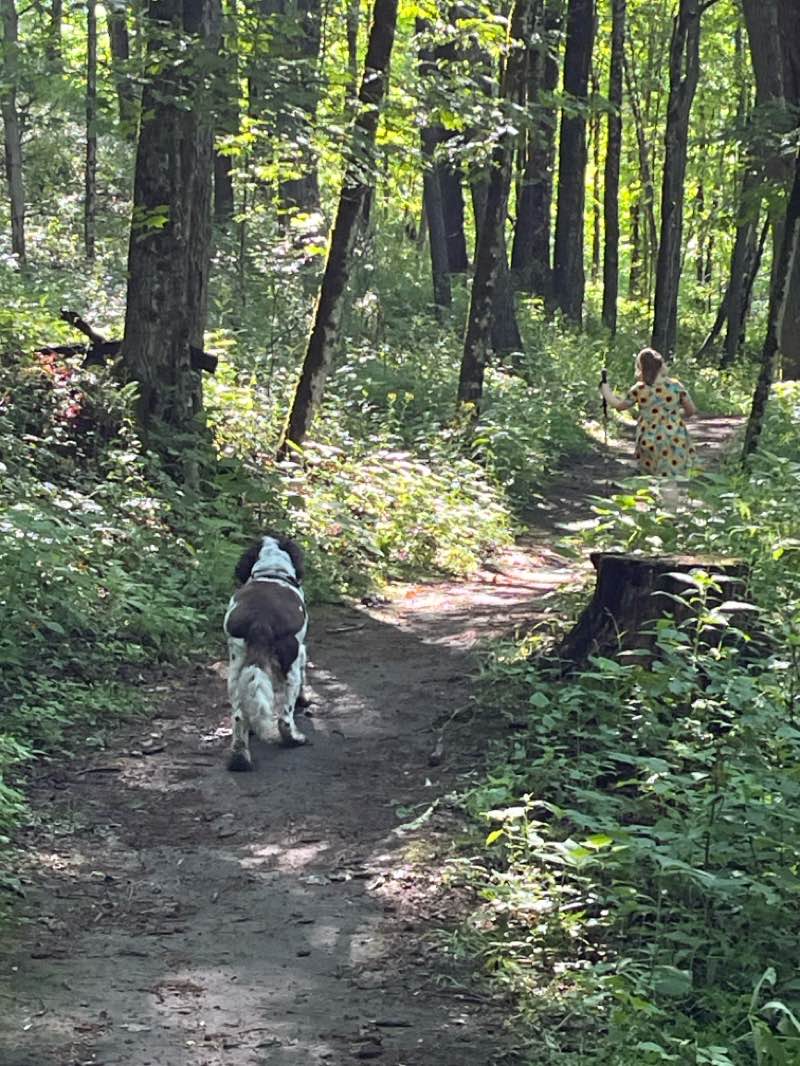 walking near me in The Green in summer