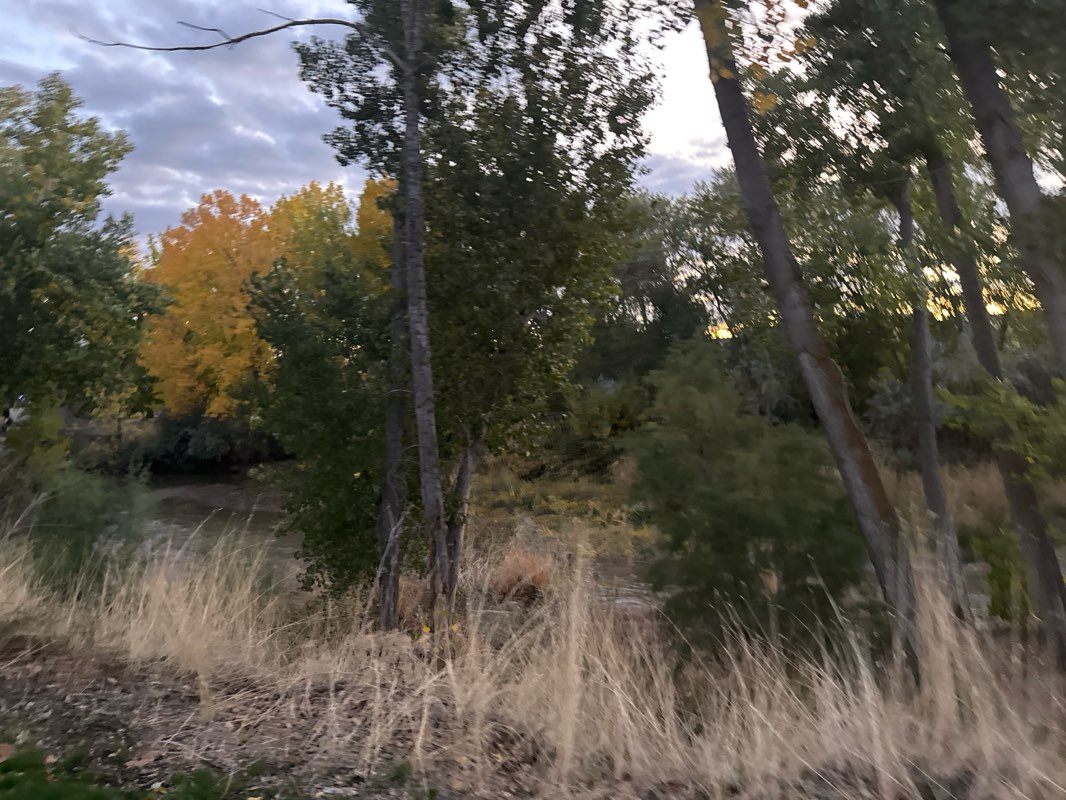 walking near me in Spanish Fork Sports Park in autumn