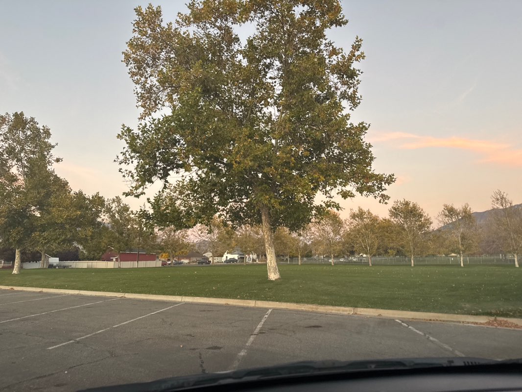 walking near me in Centennial Park in autumn