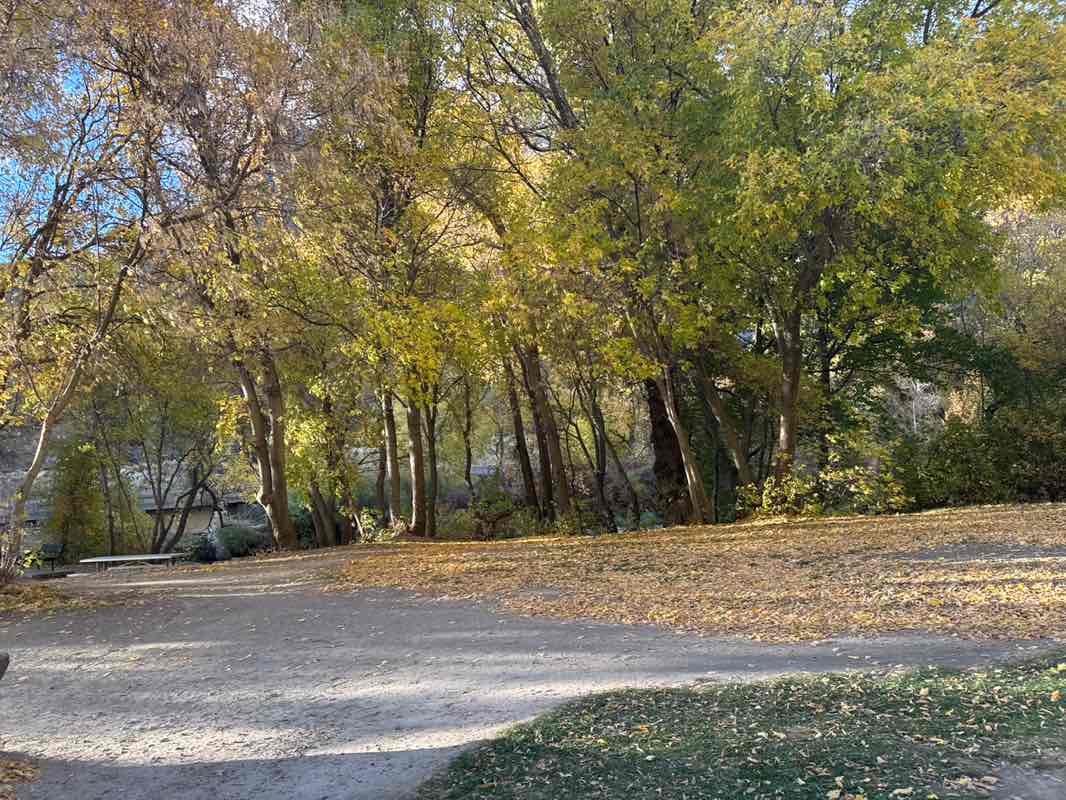 walking near me in Bridal Veil Falls Park in autumn