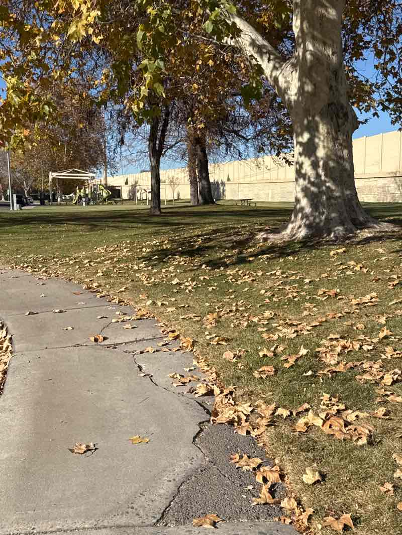 walking near me in Powerline Park #1 in autumn