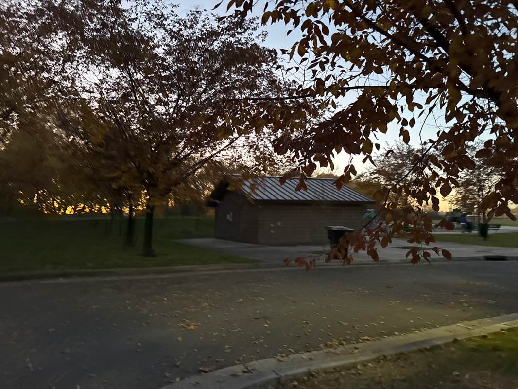 walking near me in Community Park in autumn
