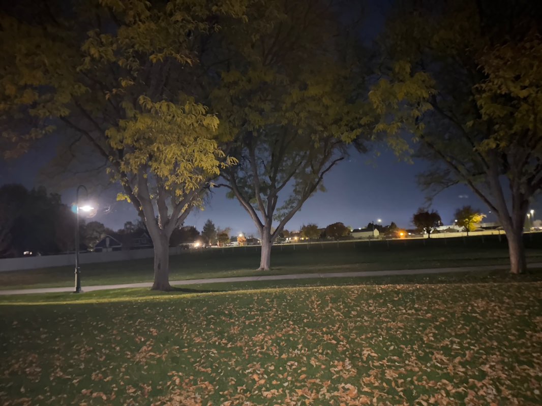 walking near me in Westmore Park in autumn
