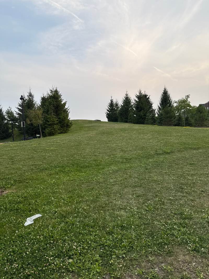 walking near me in Parc du Bois-Franc in autumn