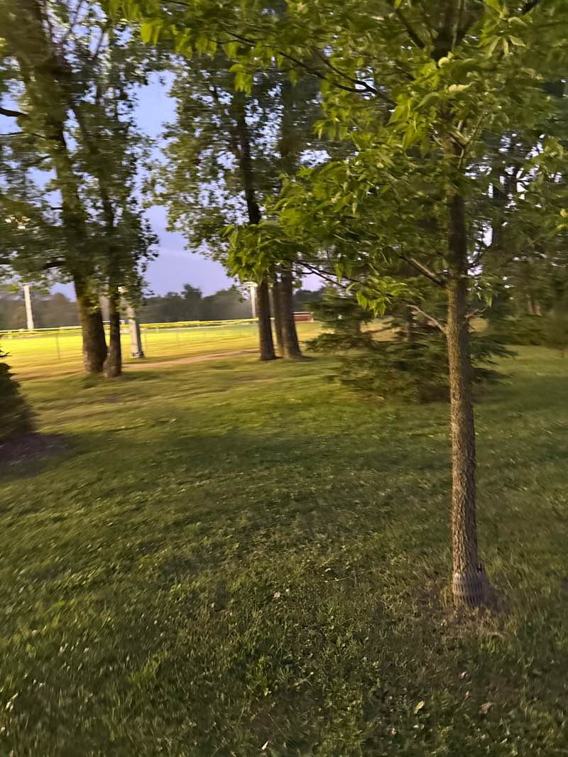 walking near me in Parc Marcel-Laurin in autumn