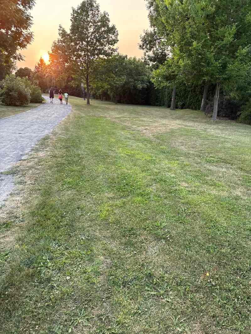 walking near me in Parc Jerry-Shears in autumn