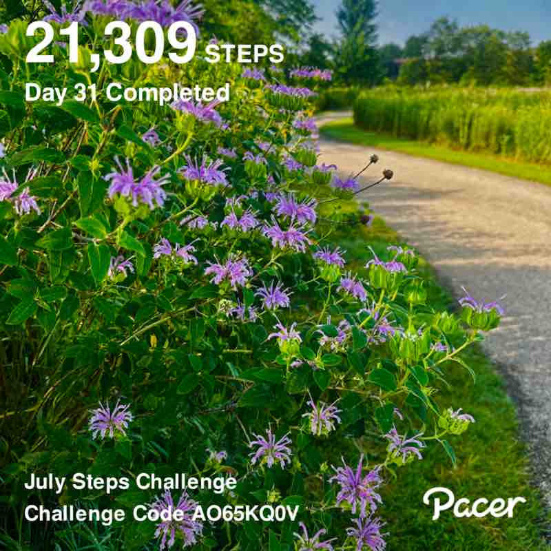 Shobhana🌼💕👟 post 1