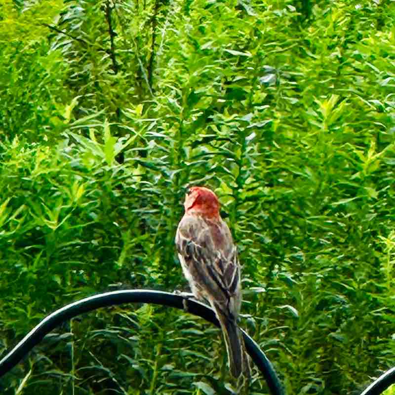 Ephicacy Shobhana🌼💕👟 post image