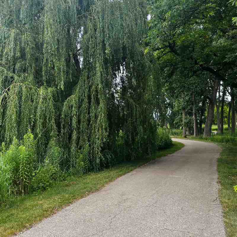 Ephicacy Shobhana🌼💕👟 post image