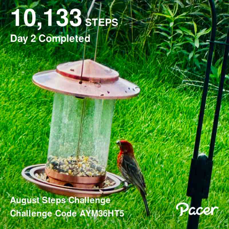 Shobhana🌼💕👟 post 1