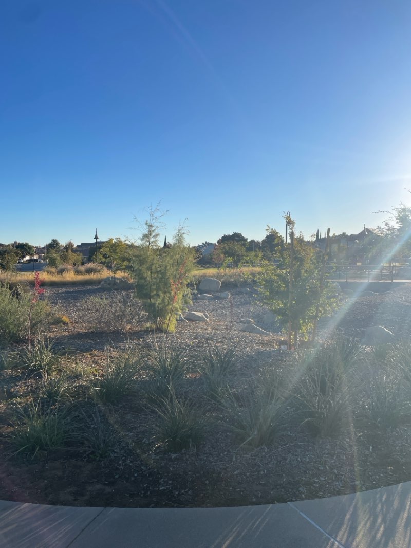 walking near me in Marie Kerr Park in autumn