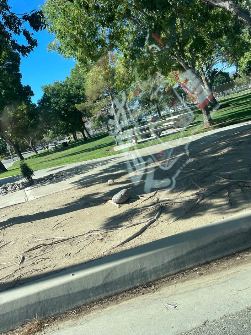walking near me in Desert Sands Park in autumn
