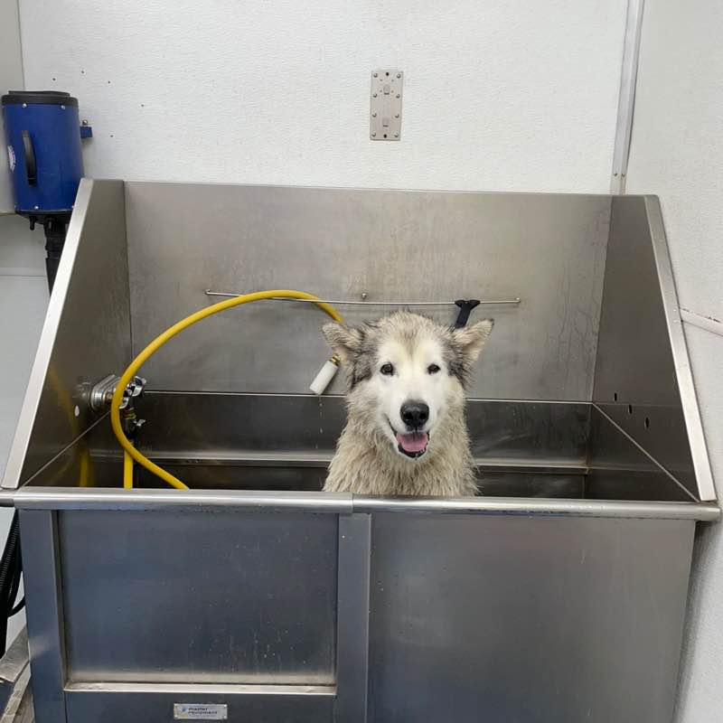 Ephicacy Michelle Stoddard post image