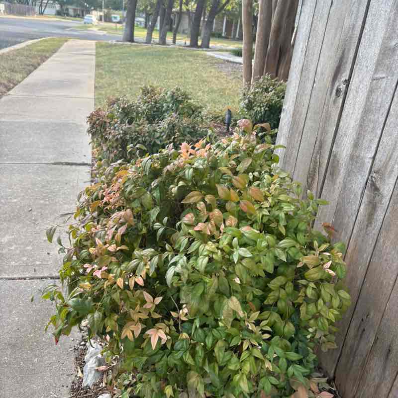 Ephi-walkers marisol.rivera post image