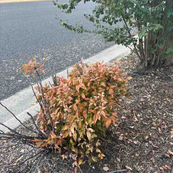 Ephi-walkers marisol.rivera post image