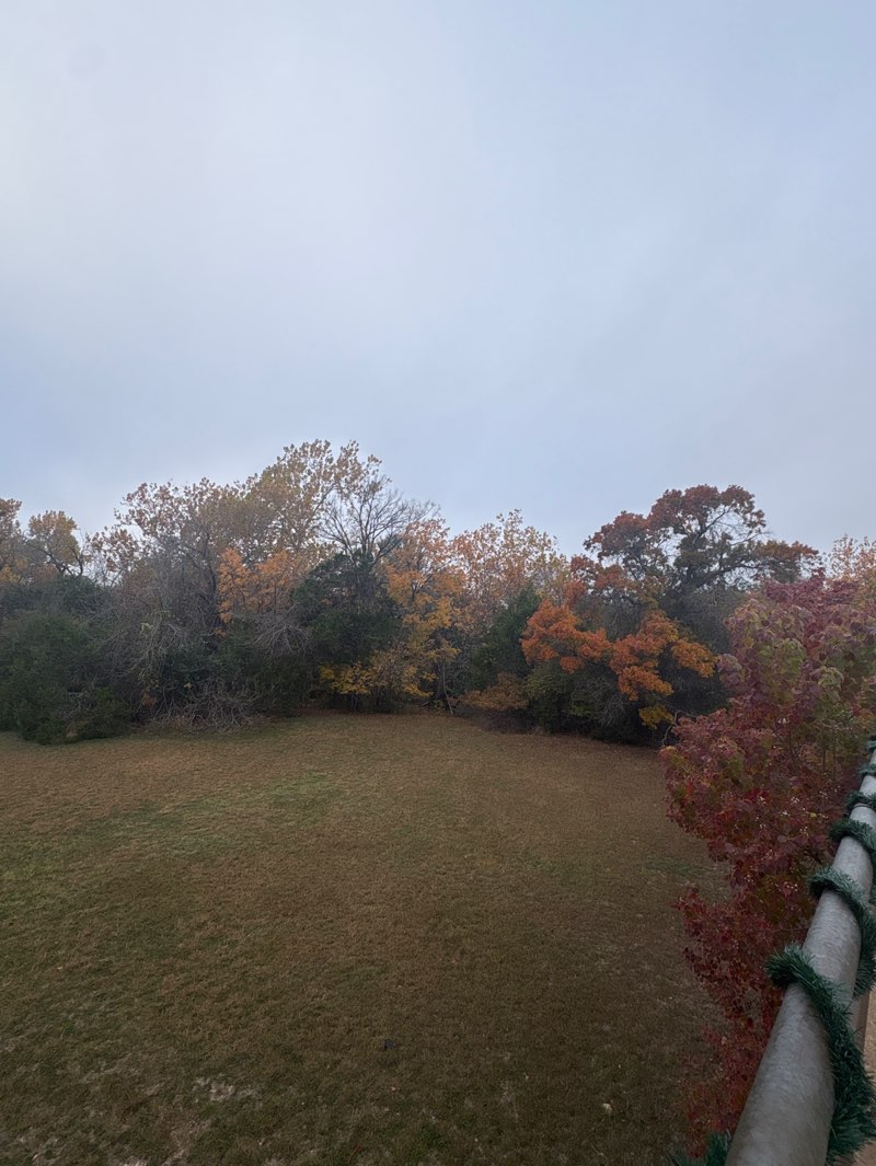 walking near me in Jumano Park in winter