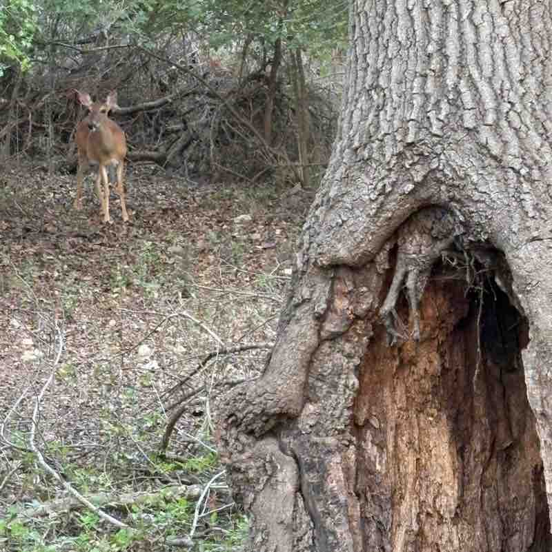 Ephicacy marisol.rivera post image