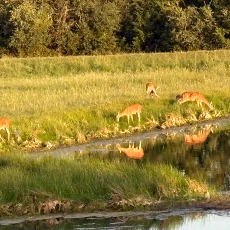 Ephicacy marisol.rivera post image