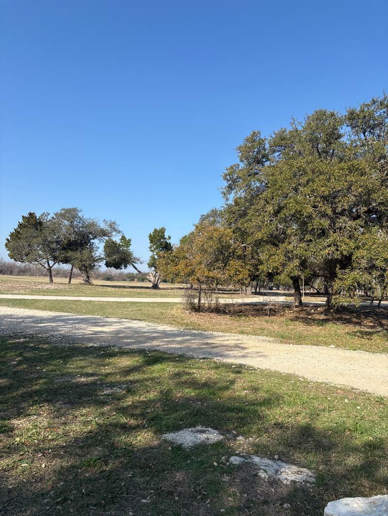 walking near me in Lakewood Park in winter