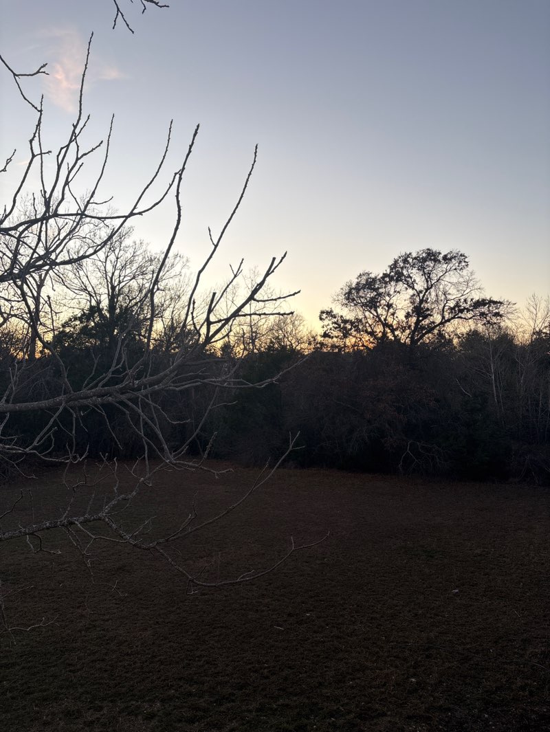 walking near me in Jumano Park in winter