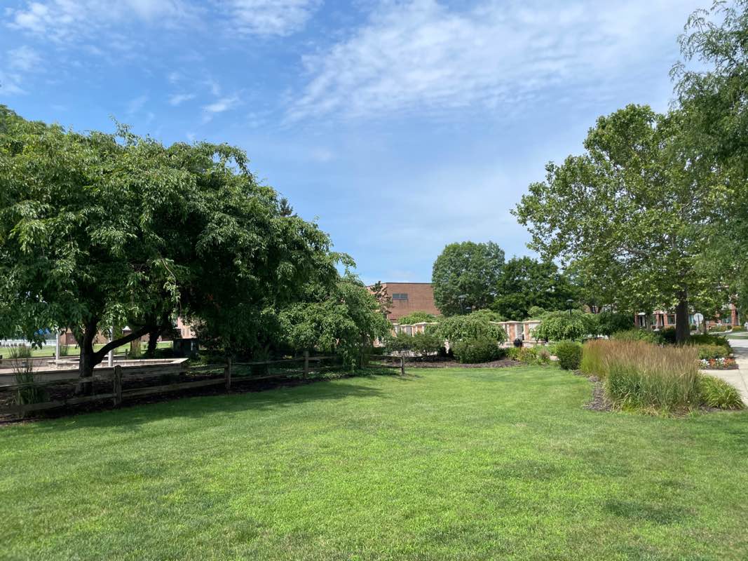 walking near me in Lion's Park in summer