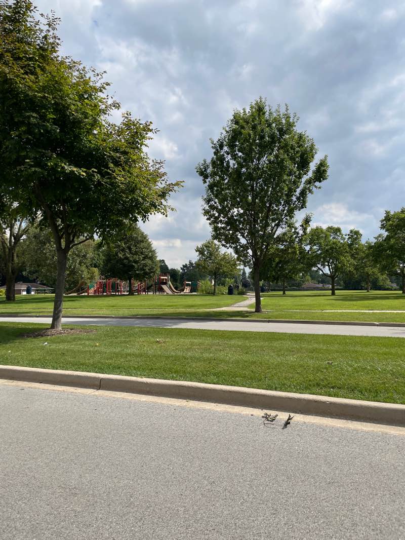 walking near me in Sunset Park in autumn