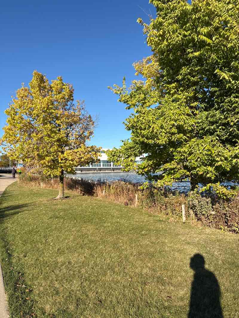 walking near me in Urban Park in autumn