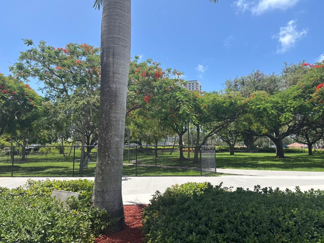 walking near me in Young Circle Park in autumn