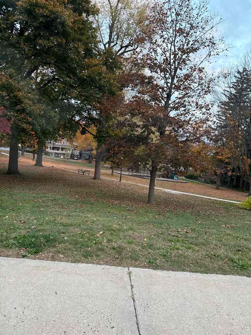 walking near me in Talcott Park in autumn