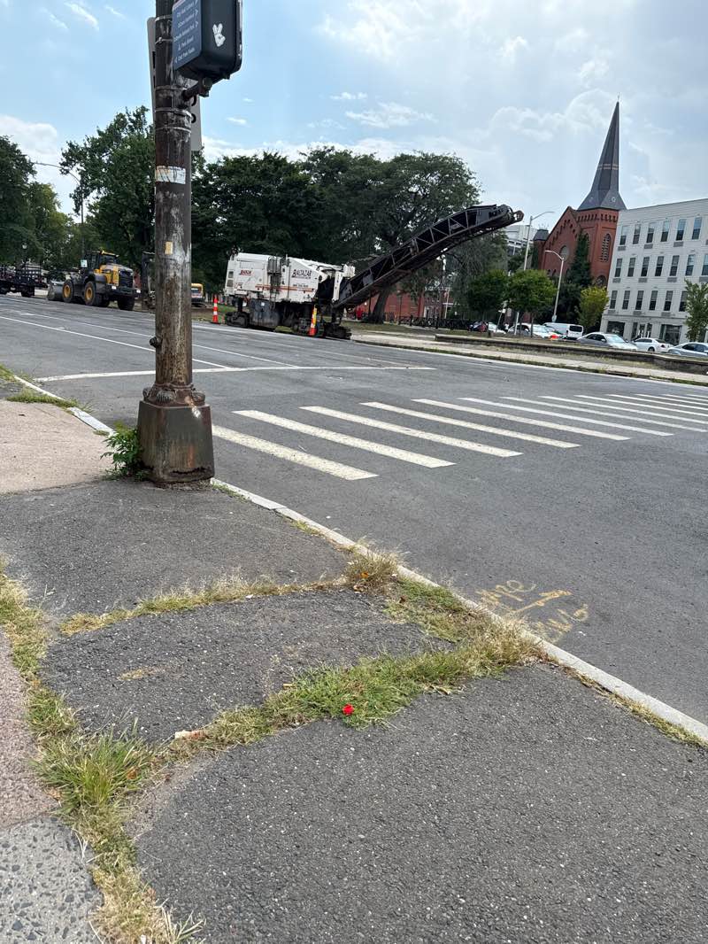 walking near me in South Green Barnard Park in autumn