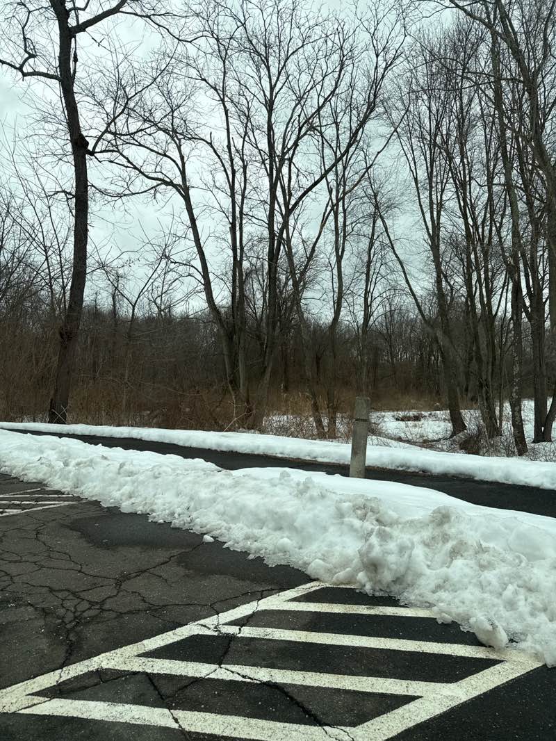 walking near me in Dart Hill Park in winter