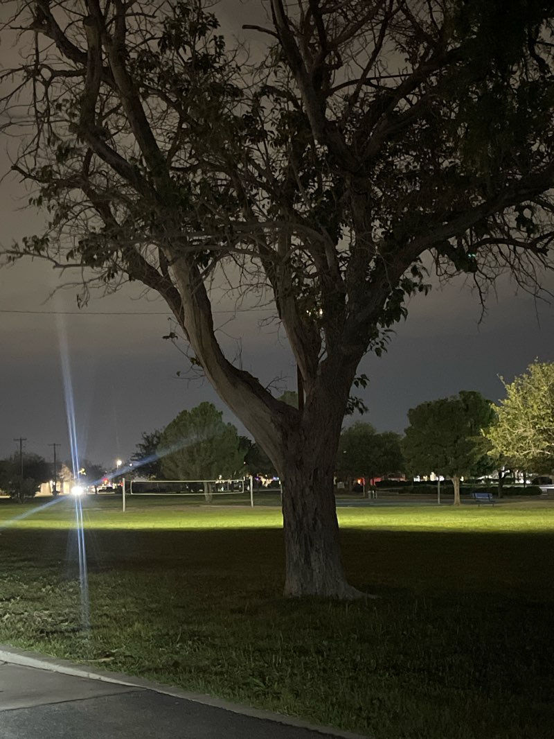 walking near me in Vista del Valle Park in autumn