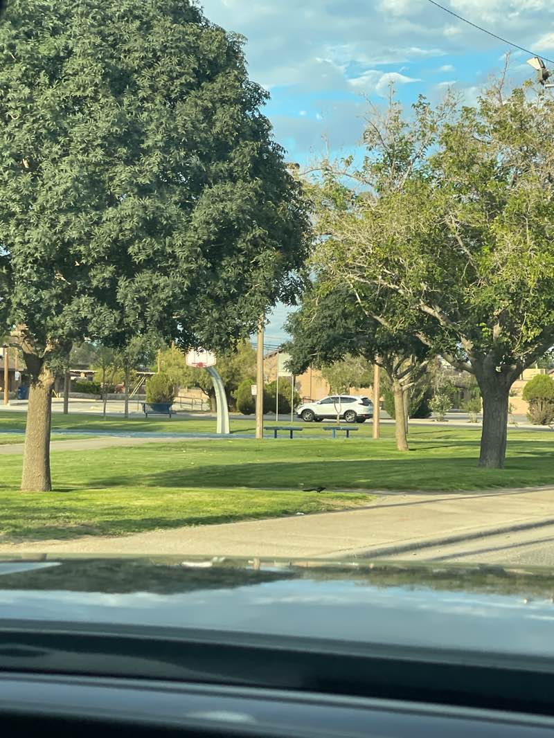 walking near me in Yucca Park in autumn