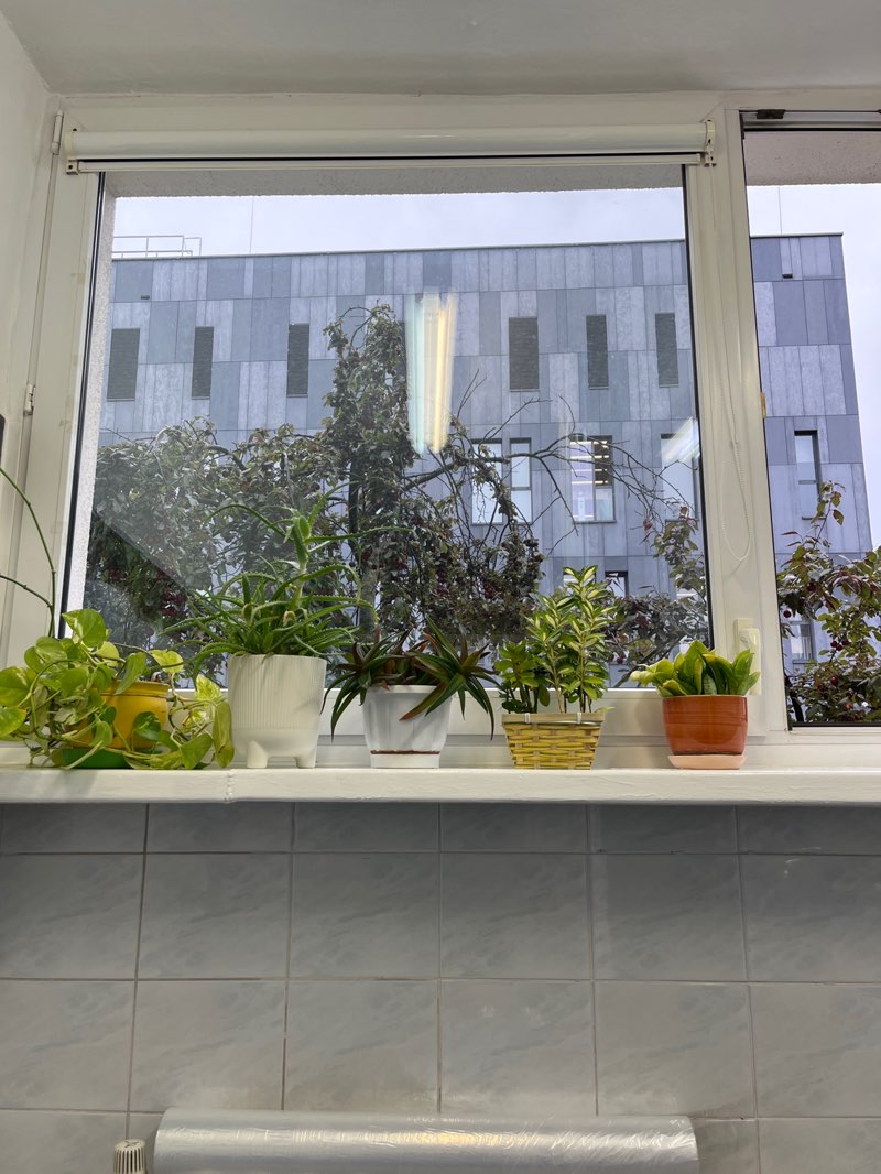 walking near me in Park na Bielanach in autumn