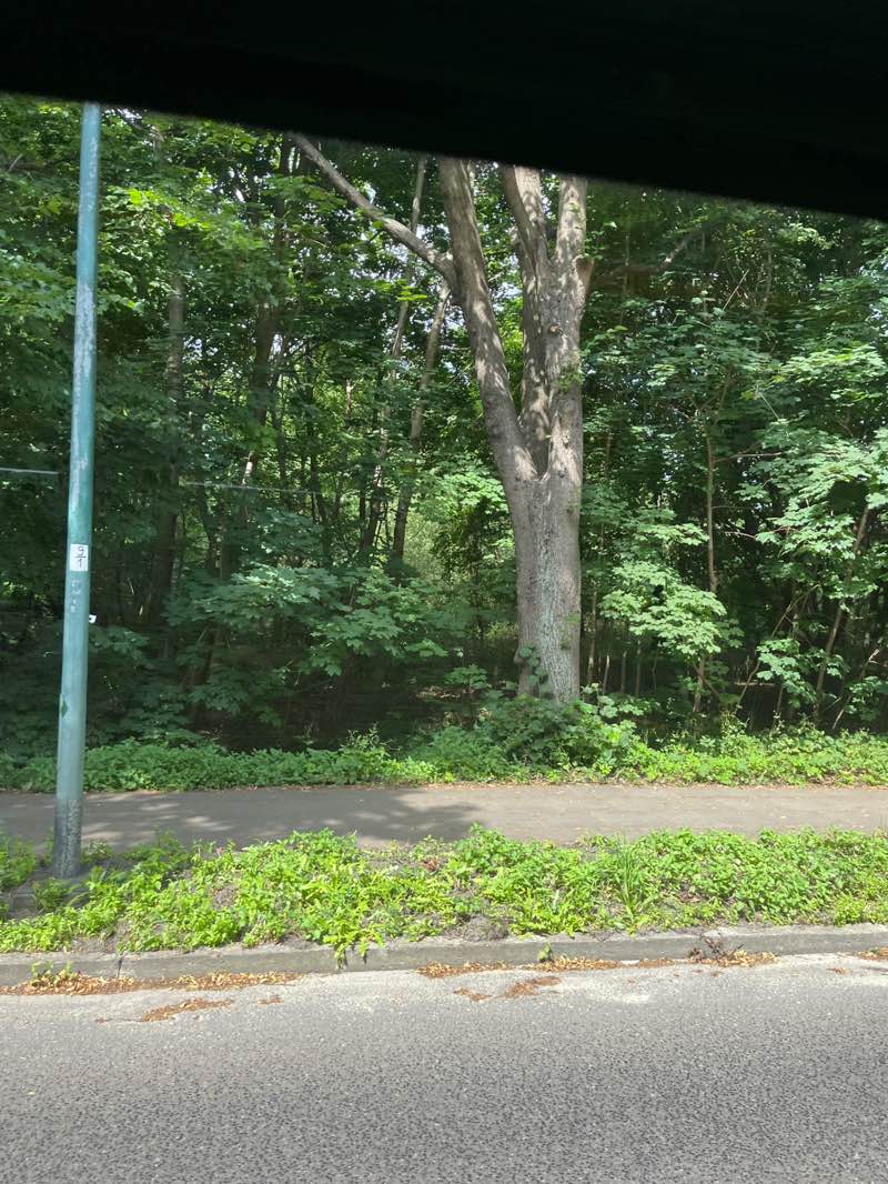 walking near me in Park imienia Ronalda Reagana in autumn