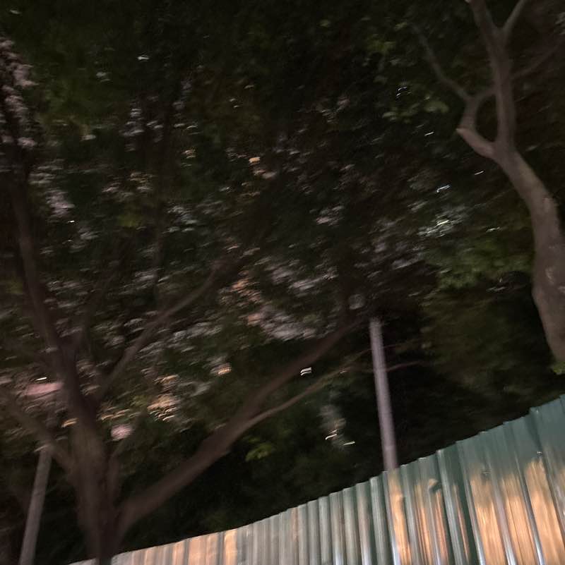 Kento post 1