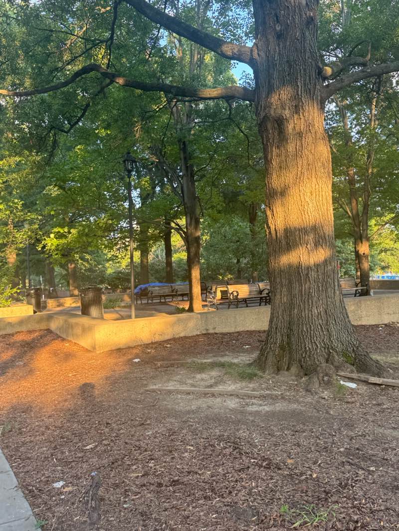 walking near me in President's Park in autumn