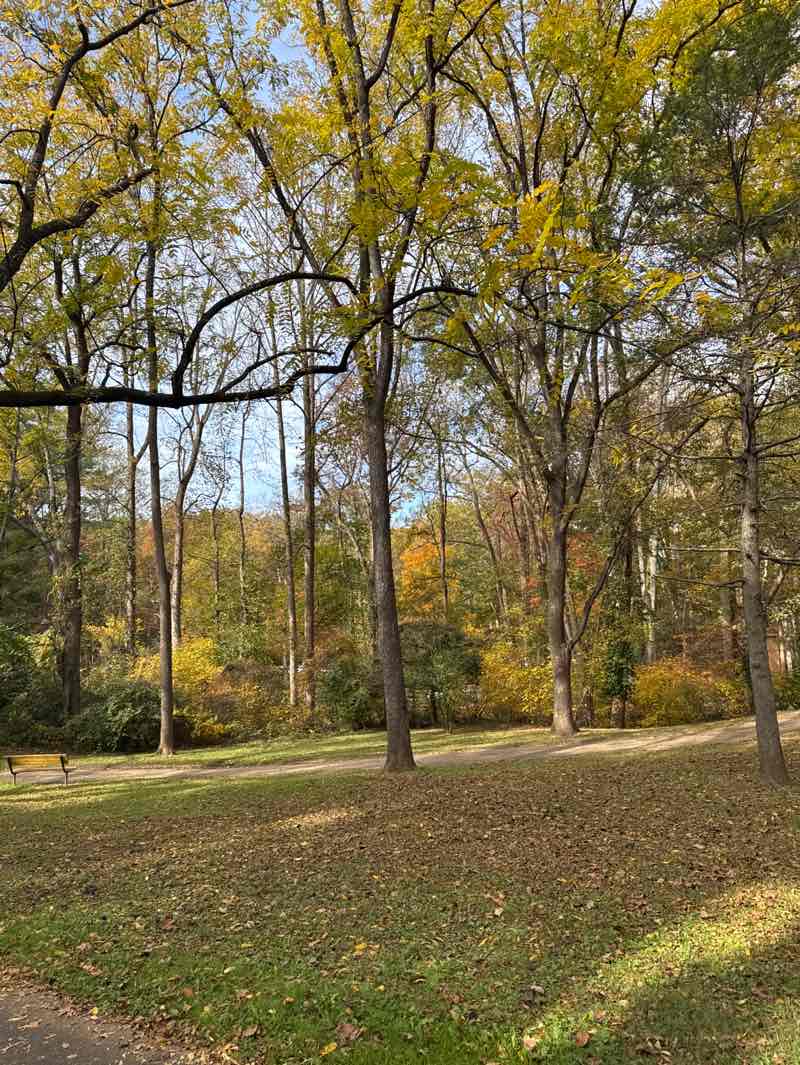 walking near me in Cabin John Regional Park in autumn