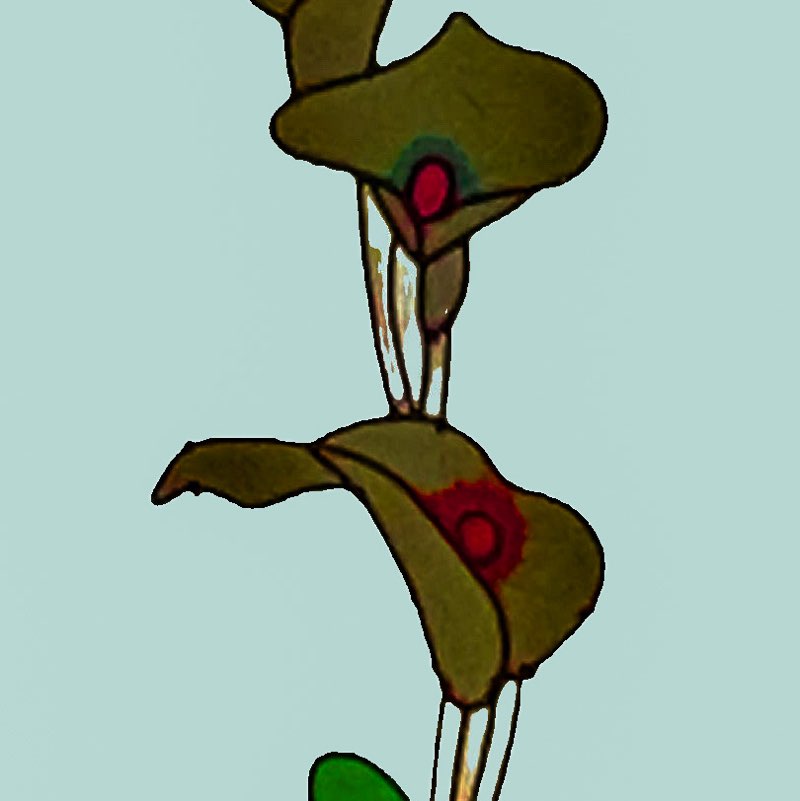 Tobi profile