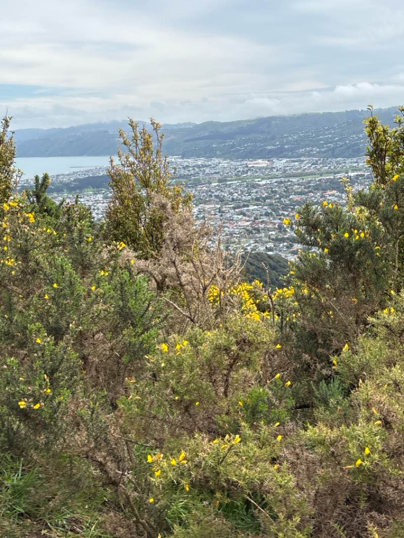 walking near me in Queen Street Park in spring