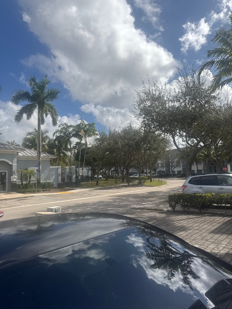 walking near me in Central Broward Regional Park in winter
