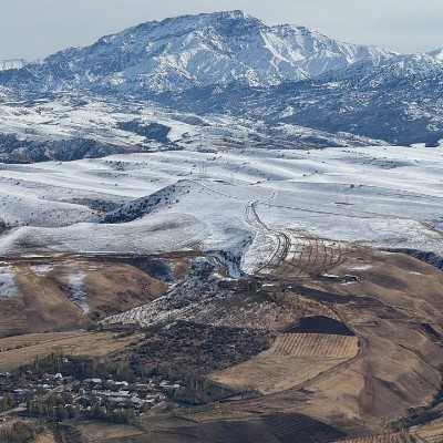 January 5k Race #4 Polat post image