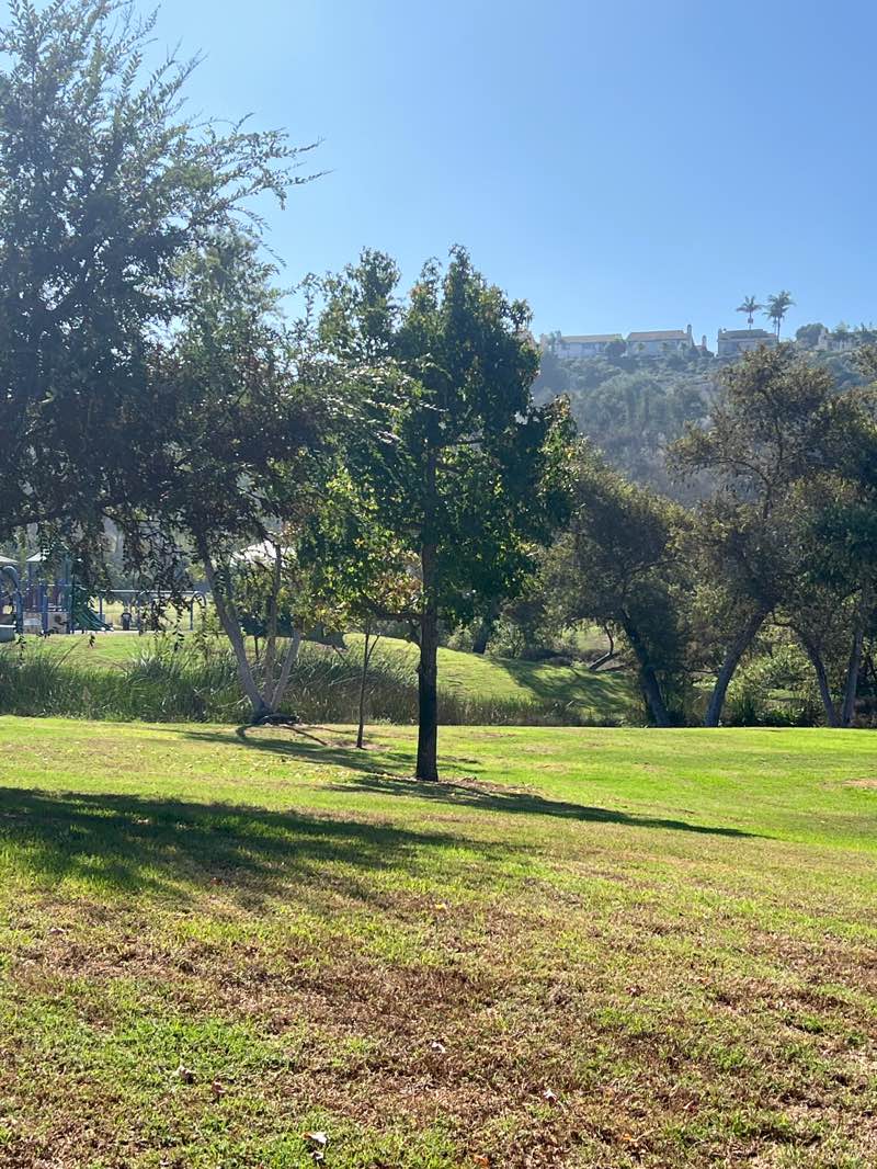 walking near me in Laguna Niguel Regional Park in autumn