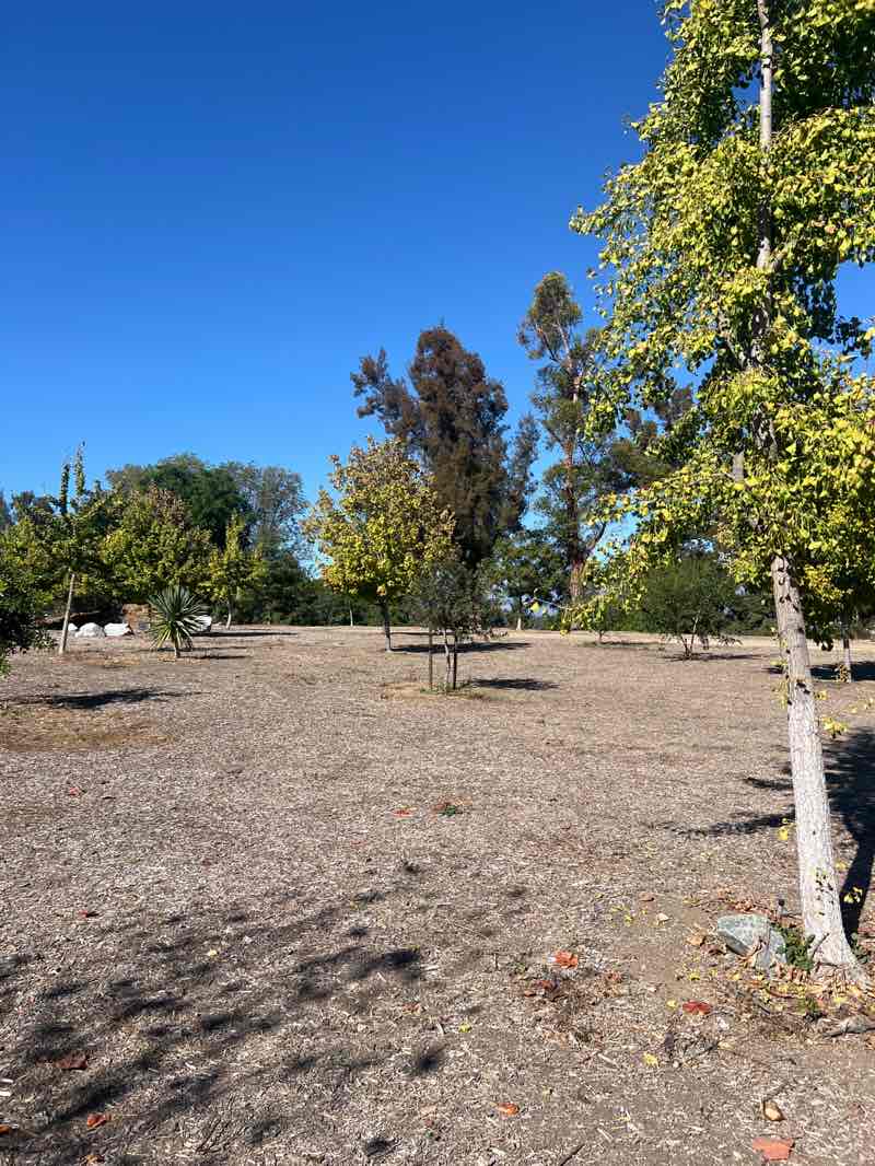 walking near me in Hilltop Park in autumn