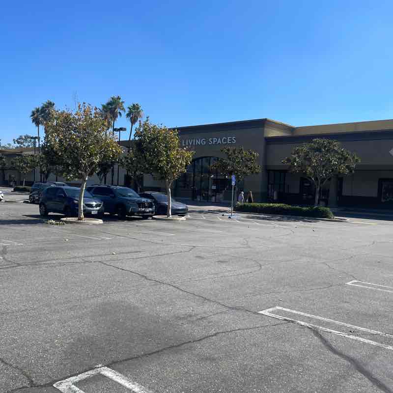 One Fam, Many Beans! Angela post image